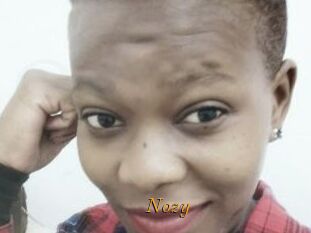 Nozy