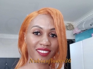 Nubianflower36
