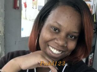 Pudd123