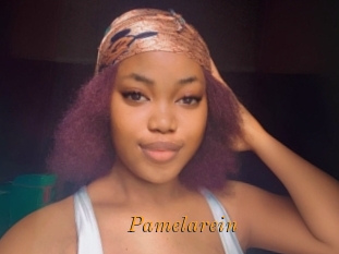 Pamelarein