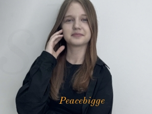 Peacebigge