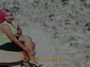 Princess23