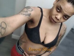 Raven_Stud
