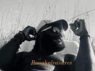 Roughpleasures