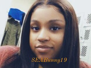 SEABunny19