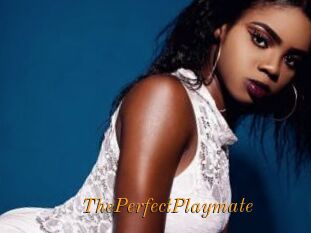 ThePerfectPlaymate