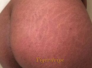 Tigerstripe