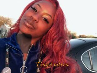 TinyAndrea