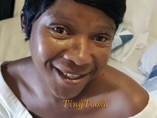 TinyToosh