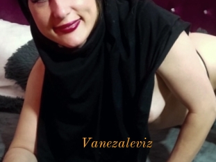 Vanezaleviz