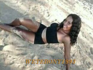 WETEBONY1993