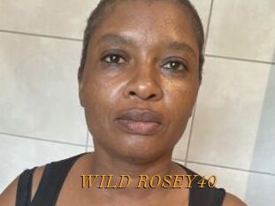 WILD_ROSEY40
