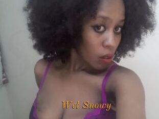 Wet_Snowy