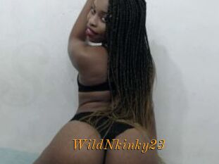 WildNkinky23