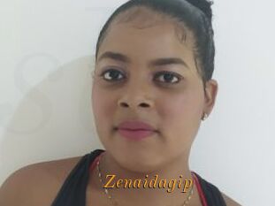 Zenaidagip