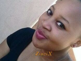 ZinziX