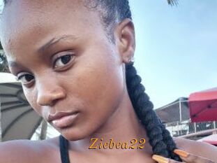 Ziebea22